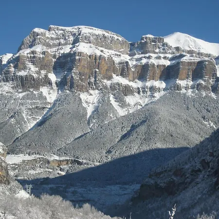 Abetos Torla-Ordesa